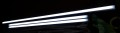 26052018_53.jpg