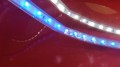 IMG_20170703_145315.jpg